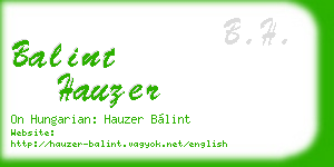 balint hauzer business card